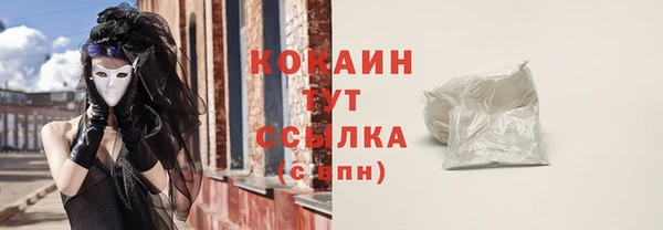 амф Дмитров