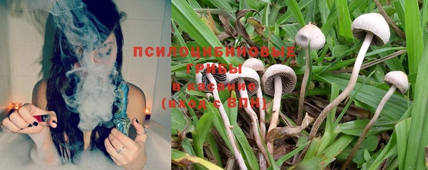 спиды Белокуриха