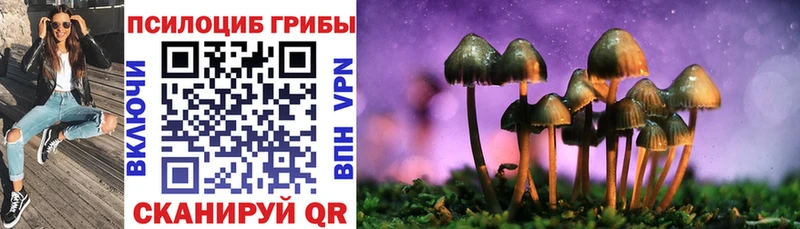Псилоцибиновые грибы Magic Shrooms  где купить наркоту  Богданович 